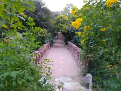 स्मृति वन जयपुर